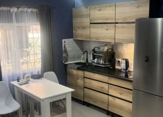 Сдаю 2-комнатную квартиру, 50 м2, Сириус, Приреченская улица, 1