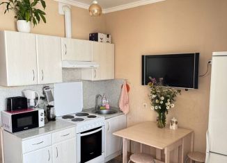 Продается квартира студия, 25.6 м2, Санкт-Петербург, проспект Королёва, 69, муниципальный округ Коломяги