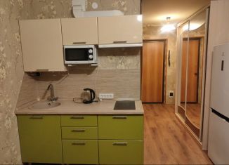 Сдам квартиру студию, 23 м2, Екатеринбург, ЖК Тихий Берег-2, Рощинская улица, 27