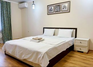 Сдаю в аренду однокомнатную квартиру, 50 м2, Пятигорск, Первомайская улица, 2к2