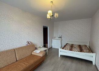 Сдам в аренду однокомнатную квартиру, 36 м2, Псков, Госпитальная улица, 15