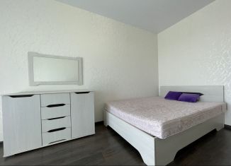 Сдается 2-комнатная квартира, 40 м2, Уфа, улица Академика Сулейманова, 10