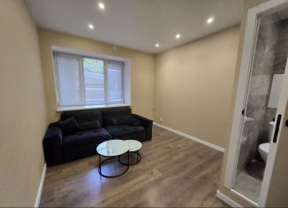 Квартира на продажу студия, 15.5 м2, Москва, 1-я Тверская-Ямская улица, 14, 1-я Тверская-Ямская улица