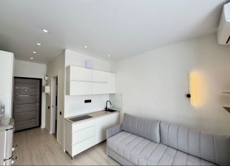 Сдам квартиру студию, 19 м2, Сочи, Ясногорская улица, 16/6к2, микрорайон Бытха