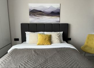 Сдаю квартиру студию, 25 м2, Ростов-на-Дону, улица Нансена, 103/1/6, Октябрьский район