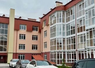 1-ком. квартира на продажу, 54.8 м2, Сестрорецк, Рыбацкая улица, 11, ЖК Еловый Дом