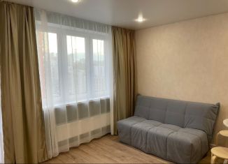 Сдается квартира студия, 25 м2, Республика Башкортостан, улица Воинов-Интернационалистов, 1