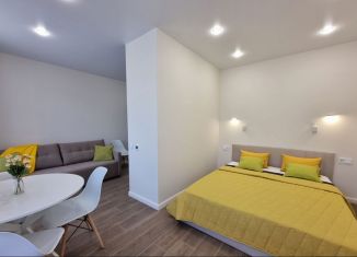 Сдается однокомнатная квартира, 30.6 м2, Сочи, улица Искры, микрорайон Кудепста