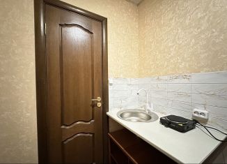 Сдается в аренду 1-комнатная квартира, 30 м2, Санкт-Петербург, Воронежская улица, 53к1