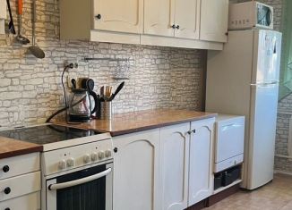 2-комнатная квартира на продажу, 55.2 м2, Санкт-Петербург, улица Коллонтай, 12к2, муниципальный округ Правобережный