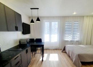 Сдам в аренду квартиру студию, 28 м2, Мурино, Екатерининская улица, 3/4