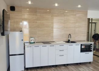 Сдаю однокомнатную квартиру, 38 м2, Брянск, улица Татьяны Николаевой, 8, Бежицкий район