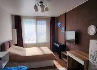 Продается 1-комнатная квартира, 34.1 м2, Санкт-Петербург, Среднерогатская улица, 16к6, ЖК Светлый Мир Жизнь