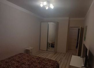 Сдается в аренду однокомнатная квартира, 40 м2, Ростов-на-Дону, улица Ерёменко, 100/70