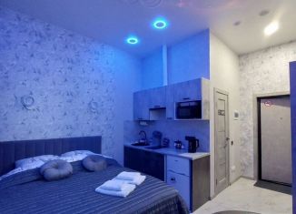 Сдача в аренду квартиры студии, 20 м2, Кингисепп, проспект Карла Маркса, 39