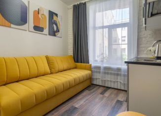 Сдаю в аренду квартиру студию, 12 м2, Санкт-Петербург, Казанская улица, 9