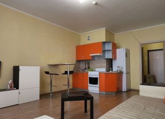 Сдается квартира студия, 31.6 м2, Мурино, Воронцовский бульвар, 2