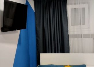 Сдаю квартиру студию, 12.5 м2, Санкт-Петербург, Суворовский проспект, 39