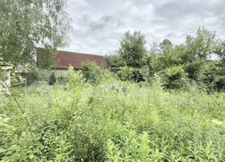 Продам дом, 50 м2, деревня Трубачеевка, Лесная улица, 19/2