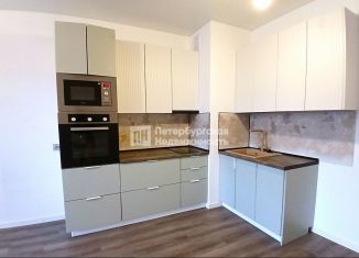 Продам квартиру студию, 25.1 м2, Санкт-Петербург, Дальневосточный проспект, 19к1, Дальневосточный проспект