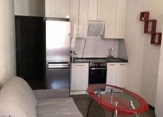 Продажа квартиры студии, 24.8 м2, Санкт-Петербург, улица Лётчика Лихолетова, 14к2, ЖК Солнечный Город