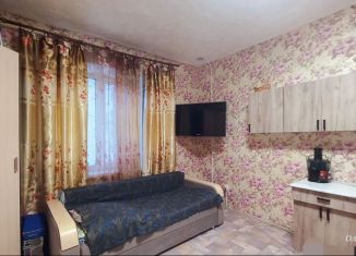 Продажа квартиры студии, 29 м2, Республика Башкортостан, Краснодонская улица, 45/47