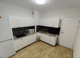 Сдаю в аренду 1-комнатную квартиру, 36.6 м2, Республика Башкортостан, улица Генерала Кусимова, 20