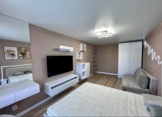 1-комнатная квартира в аренду, 40 м2, Тольятти, Спортивная улица, 59