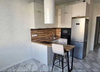 Аренда однокомнатной квартиры, 42.8 м2, посёлок Шушары, Образцовая улица, 6к1