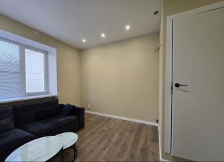 Продажа квартиры студии, 16 м2, Москва, 1-й Тверской-Ямской переулок, 14, 1-й Тверской-Ямской переулок