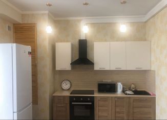 Сдается квартира студия, 30 м2, Сочи, улица Гастелло, 28к2, микрорайон Голубые Дали