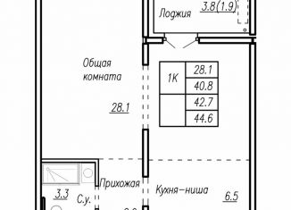 Продажа квартиры со свободной планировкой, 42.7 м2, Барнаул, улица Антона Петрова, 210Б