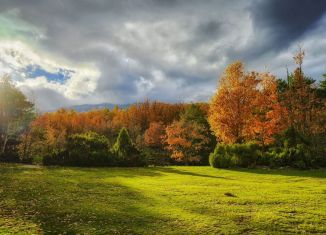 Земельный участок на продажу, 490 сот., Псковская область