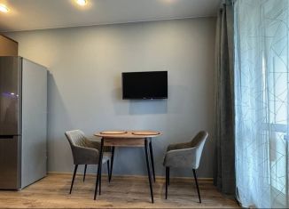 Продажа квартиры студии, 20.3 м2, Мурино, Воронцовский бульвар, 16к1, ЖК Краски Лета