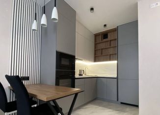 1-ком. квартира в аренду, 42.1 м2, Краснодар, ЖК Центральный, улица Будённого, 129