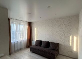 Сдам в аренду квартиру студию, 29 м2, Республика Башкортостан, улица Конституции, 5/1