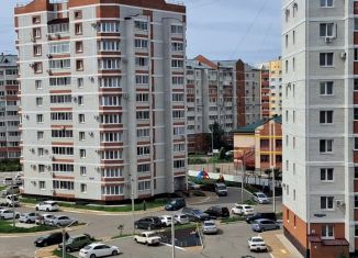 Продаю квартиру студию, 25 м2, село Чигири, улица Василенко, 3/2