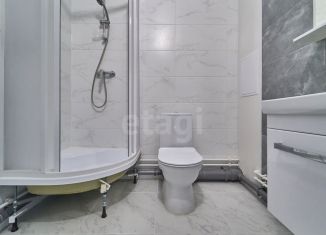 Продается квартира студия, 23.6 м2, Санкт-Петербург, Дальневосточный проспект, 23, Дальневосточный проспект