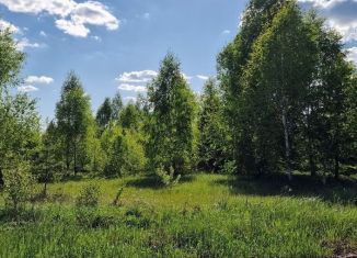 Продаю участок, 10 сот., село Сапуголи, улица Поэзии