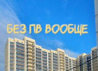 Продается квартира студия, 23 м2, Благовещенск, Заводская улица, 4/4, ЖК Лазурный Берег