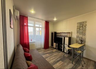 Сдам квартиру студию, 29 м2, Краснодар, улица им. Героя Сарабеева В.И., 5к5, микрорайон Панорама