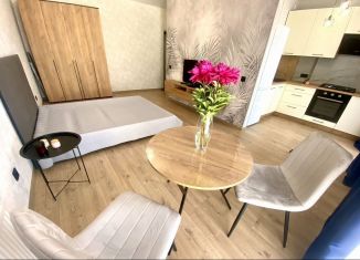 Аренда однокомнатной квартиры, 43 м2, Калининград, улица Барклая де Толли, 28