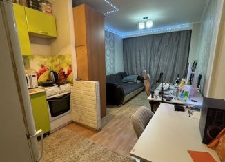 Квартира на продажу студия, 23 м2, Октябрьский, тупик Кувыкина, 35