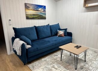Сдам дом, 40 м2, поселок Донское, улица 13-й ряд, 209