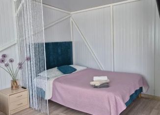Сдаю дом, 23 м2, Зеленоградск, Зелёная улица, 2
