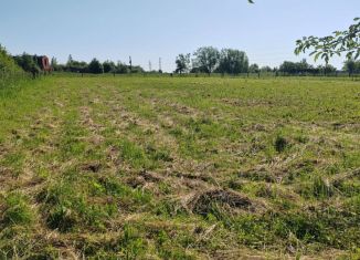 Земельный участок на продажу, 10 сот., деревня Митрофанкасы, улица Ленина, 35