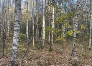 Продам земельный участок, 15 сот., деревня Богданцево, деревня Богданцево, 27