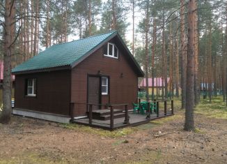 Дом на продажу, 56 м2, Вологодская область, местечко Сосновый Бор, 27