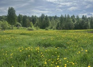 Продается участок, 10 сот., Вологодская область, деревня Бяковское, 10