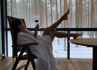 Сдам дом, 29 м2, Берёзовский, 2-й проезд, 1